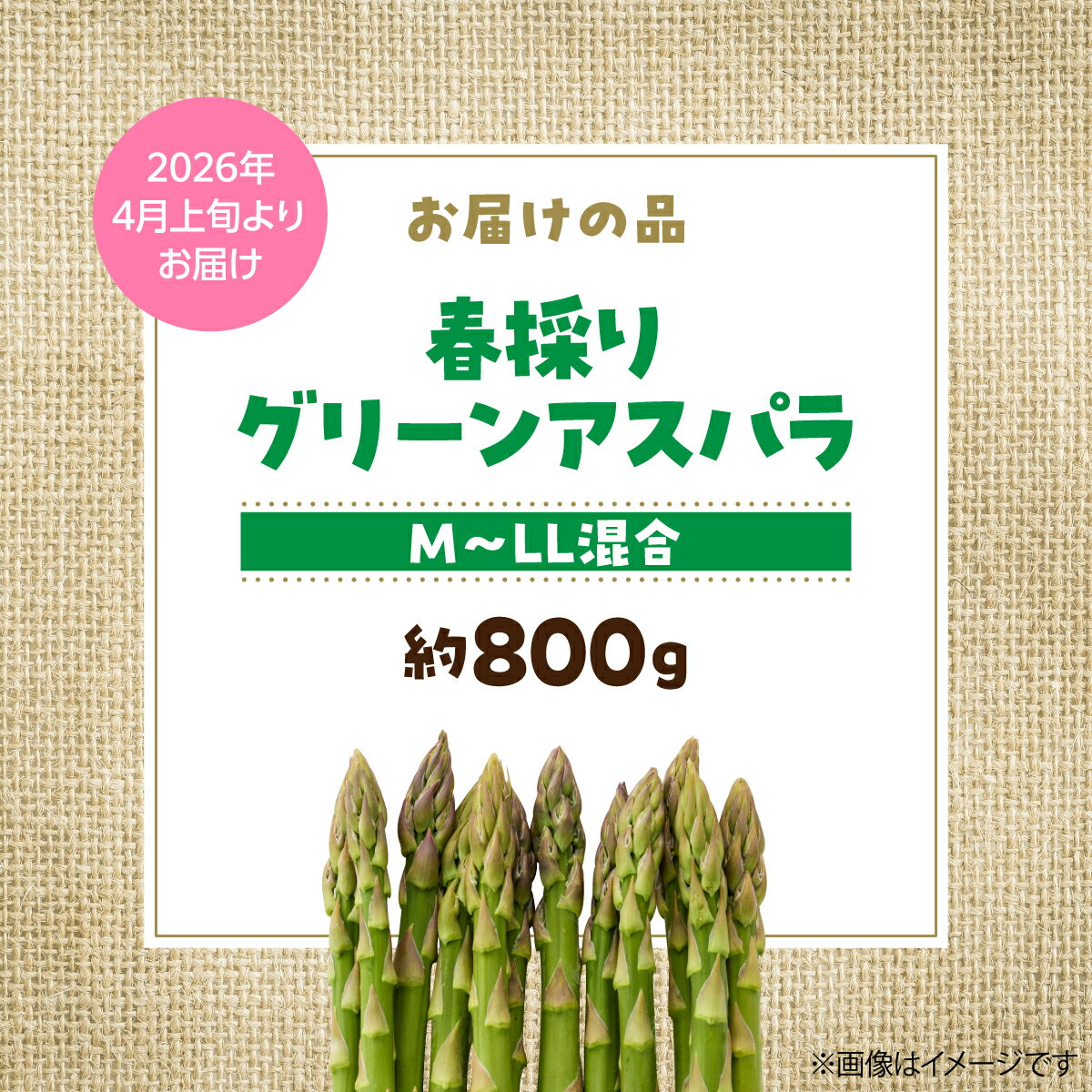 【ふるさと納税】＜2026年4月上旬よりお届け＞【朝採り】北海道壮瞥町産 春採りグリーンアスパラM〜LL混合 約800g 【 朝採り 新鮮 グリーンアスパラ アスパラ あすぱら 春 春アスパラ 野菜 甘い 北海道産 お取り寄せ 送料無料 】 SBTR005