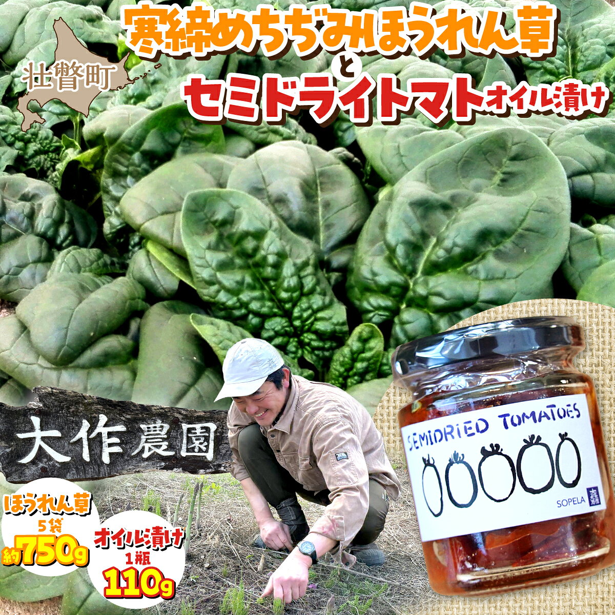 ＜2026年12月・2027年8月お届け＞大作農園 寒締めちぢみほうれん草約1.2kg・カラフルミニトマト約1.5kg 2回お届け定期便 【 野菜 ミニトマト 野菜加工品 トマトオイル漬け 加工品 ほうれん草 】SBTR007