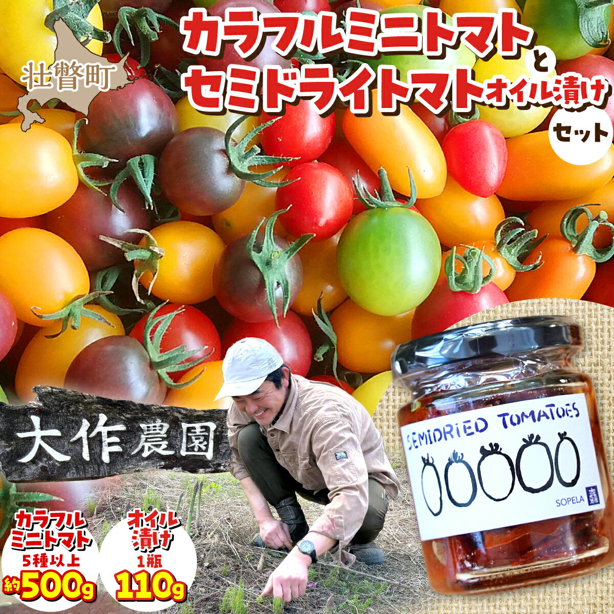 Set, Assortment - 【ふるさと納税】北海道壮瞥産 大作農園の「カラフルミニトマト」約500g（5種以上）とセミドライトマトオイル漬け1瓶（110g）のセット ふるさと納税 人気 おすすめ ランキング トマト ミニトマト アイコ オイル漬け 野菜 甘い パスタ サラダ 北海道 壮瞥町 送料無料 SBTR008