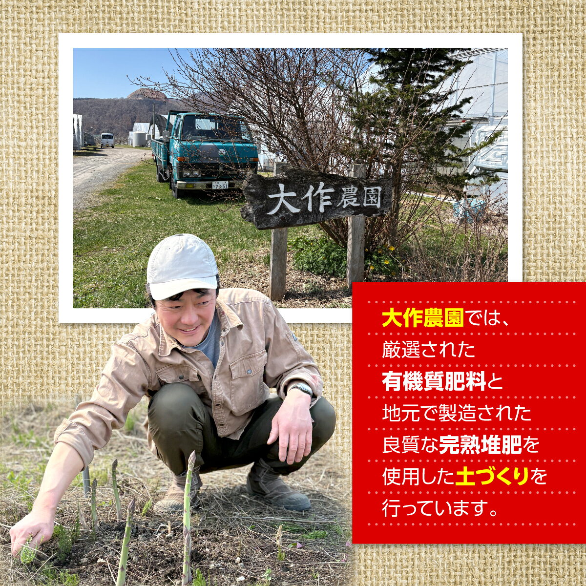 【ふるさと納税】北海道壮瞥産 大作農園の「カラフルミニトマト」約500g（5種以上）とセミドライトマトオイル漬け1瓶（110g）のセット ふるさと納税 人気 おすすめ ランキング トマト ミニトマト アイコ オイル漬け 野菜 甘い パスタ サラダ 北海道 壮瞥町 送料無料 SBTR008 f015750-sobetsu-10000431 北海道壮瞥町 サンプル画像3