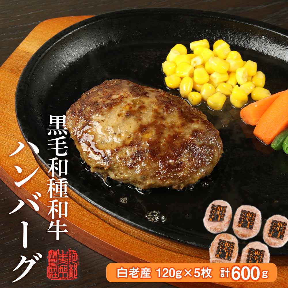 黒毛和種和牛ハンバーグ(白老産) 120g×5枚 計600g和牛 牛肉 加工肉 ハンバーグ 肉料理 惣菜 北海道ふるさと納税 白老 ふるさと納税 北海道 クリスマス