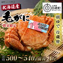 【ふるさと納税】 数量限定【朝ゆで】北海道産ボイル毛ガニ(活時500-540g前後)1尾毛がに 毛ガニ 毛蟹 蟹 カニ 北海道ふるさと納税 白老 ふるさと納税 北海道 【AS043】