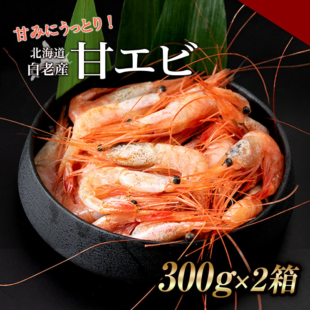 甘みにうっとり！冷凍甘エビ（300g×2箱）えび エビ 甘エビ 甘海老 甘えび 北海道ふるさと納税 白老 ふるさと納税 北海道