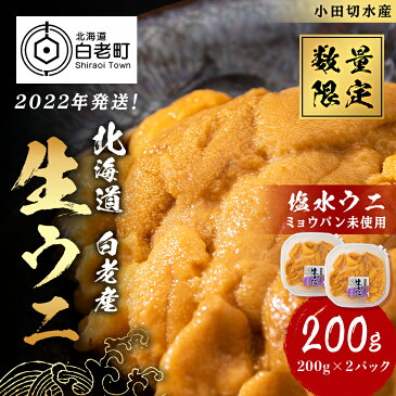 【ふるさと納税】2022年発送！生ウニ100g×2パック（ムラサキウニ）ムラサキウニ ウニ うに 生うに 塩水 海産物 北海道 北海道 北海道ふるさと納税 白老 ふるさと納税 北海道