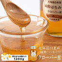 【ふるさと納税】北海道白老産 純粋 ハチミツ クローバー蜜 1200g BZ002