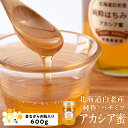 【ふるさと納税】北海道白老産 純粋 ハチミツ アカシア蜜 600g BZ006