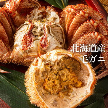 【ふるさと納税】 特特大サイズ!冷凍毛がに約1kg×1尾 【斉藤水産】毛がに 毛ガニ 毛蟹 ケガニ 毛かに 毛カニ 蟹 カニ 北海道ふるさと納税 白老 ふるさと納税 北海道 【AM002】