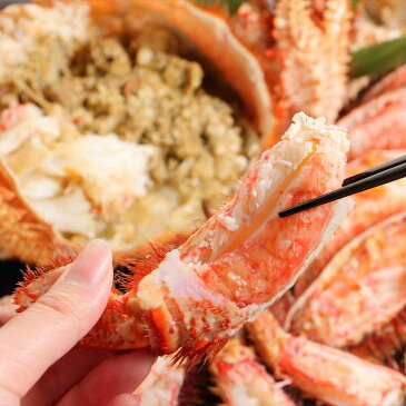 【ふるさと納税】 特特大サイズ!冷凍毛がに約1kg×1尾 【斉藤水産】毛がに 毛ガニ 毛蟹 ケガニ 毛かに 毛カニ 蟹 カニ 北海道ふるさと納税 白老 ふるさと納税 北海道 【AM002】