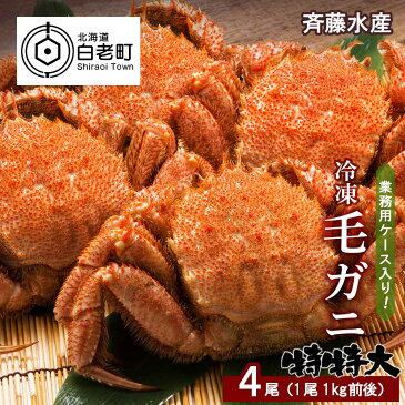 【ふるさと納税】 業務用ケース入り!冷凍毛がに 特特大サイズ 4尾(1尾1kg前後) 毛がに 毛ガニ 毛蟹 ケガニ 毛かに 毛カニ 蟹 カニ 北海道ふるさと納税 白老 ふるさと納税 北海道 【AM027】