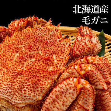【ふるさと納税】 業務用ケース入り!冷凍毛がに 特特大サイズ 4尾(1尾1kg前後) 毛がに 毛ガニ 毛蟹 ケガニ 毛かに 毛カニ 蟹 カニ 北海道ふるさと納税 白老 ふるさと納税 北海道 【AM027】