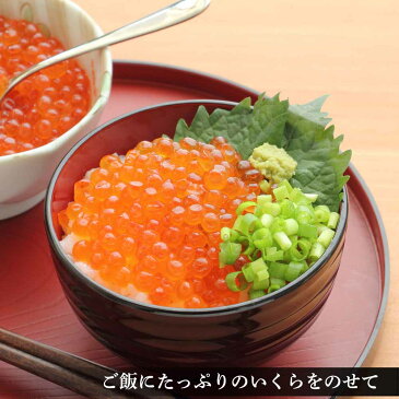 【ふるさと納税】 前浜加工☆白老産いくら 500g×2パック <斉藤水産> いくら イクラ 魚卵 海産物 北海道ふるさと納税 白老 ふるさと納税 北海道 【AM033】