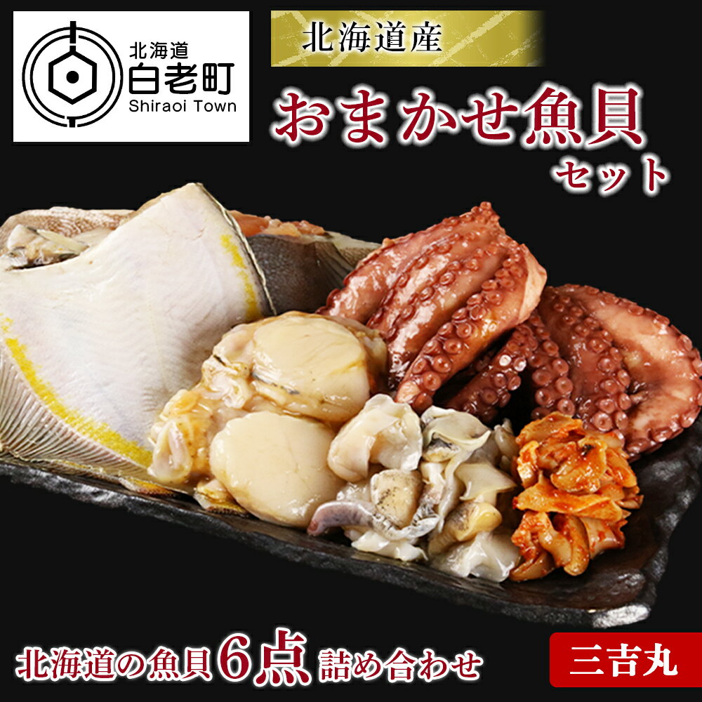 【ふるさと納税】【北海道産】海産物のプロが選ぶ！おまかせ魚貝セットタコ たこ 蛸 ホタテ ほたて 帆立 つぶ貝 マツブ ホッキ カレイ 鰈 キムチ 北海道ふるさと納税 白老 ふるさと納税 北海道