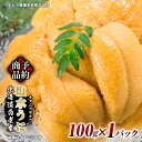 【ふるさと納税】2025年 発送予約 ウニ本来の味が楽しめる【白老産】塩水ムラサキウニ 100g×1パック BT007白老町 ふるさと納税 北海道ふるさと納税 ...