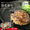 【ふるさと納税】大人気！黒毛和牛手作りハンバーグセット≪敷島