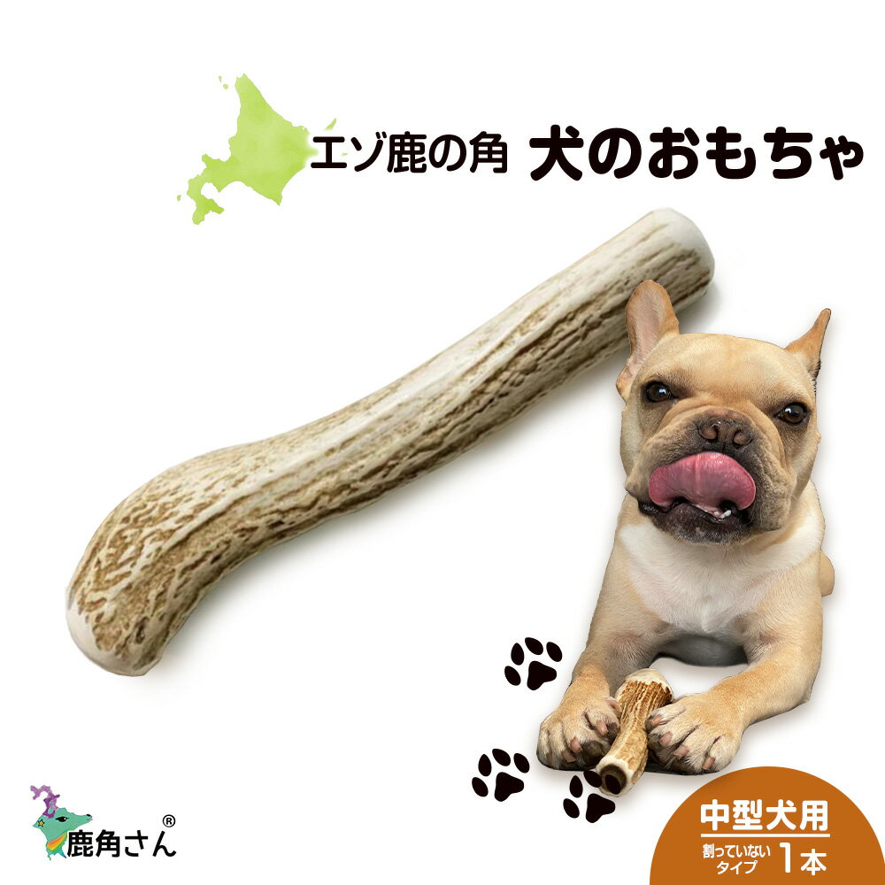 鹿の角 エゾシカ 犬のおもちゃ 『鹿角さん』 中型犬用 割っていないタイプ 1本 CB040犬 ペット おもちゃ 鹿角 エゾシカ ドッグガム 北海道 北海道ふるさと納税 白老 ふるさと納税 北海道