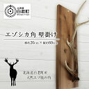 【ふるさと納税】 エゾシカ角 壁掛け(横約20cm×縦約60cm)エゾシカ 角 インテリア 民芸 鹿 雑貨 北海道ふるさと納税 白老 ふるさと納税 北海道
