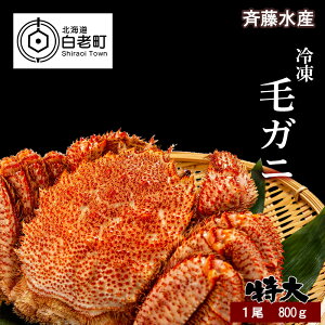 【ふるさと納税】 特大サイズ！冷凍毛がに約800g×1尾【斉藤水産】毛がに 毛ガニ 毛蟹 ケガニ 毛かに 毛カニ 蟹 カニ 北海道ふるさと納税 白老 ふるさと納税 北海道 【AM048】