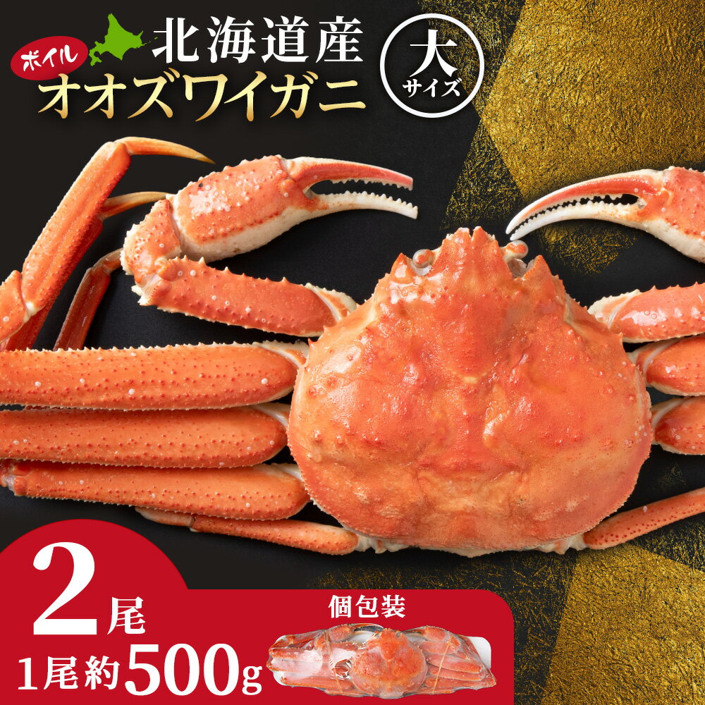 【ふるさと納税】【12月25日までの寄附で年内発送・最終発送12月27日予定】北海道産 大ズワイ＜特大＞500g×2尾〈小田切水産〉 オオズワイ 蟹 かに カニ ボイル AM164冷凍 オオズワイガニ ずわい蟹 オオずわいガニ オオズワイ 蟹 姿 カニ 白老 ふるさと納税 北海道 年末のサムネイル