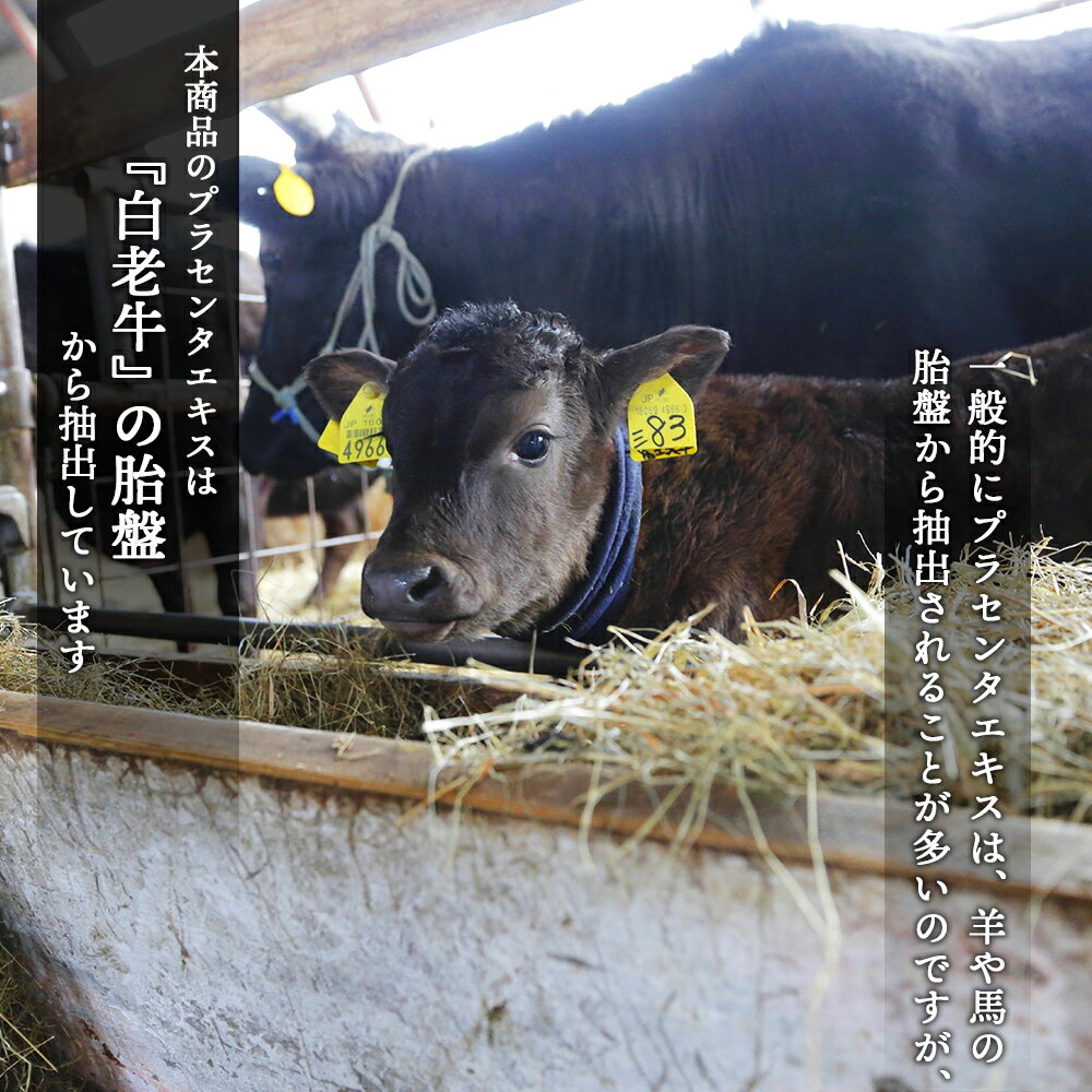 【ふるさと納税】 【定期便・全6回】北海道白老産 生プラセンタ美容液 〜アヨロのピリカ〜化粧品 美容品 美容 美容液 プラセンタ 北海道ふるさと納税 白老 ふるさと納税 北海道 3