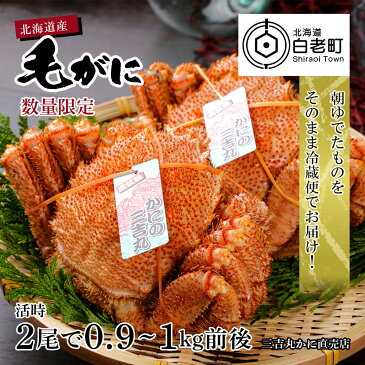 【ふるさと納税】 数量限定【朝ゆで】北海道産ボイル毛ガニ2尾で活時0.9-1kg【噴火湾産6月18日~7月10日 登別・虎杖浜・白老産7月10日~7月末日まで解禁!!】毛がに 毛ガニ 毛蟹 蟹 カニ 北海道ふるさと納税 白老 ふるさと納税 北海道 【AS010】