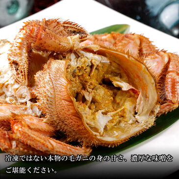 【ふるさと納税】 数量限定【朝ゆで】北海道産ボイル毛ガニ2尾で活時0.9-1kg【噴火湾産6月18日~7月10日 登別・虎杖浜・白老産7月10日~7月末日まで解禁!!】毛がに 毛ガニ 毛蟹 蟹 カニ 北海道ふるさと納税 白老 ふるさと納税 北海道 【AS010】