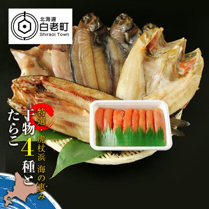 【特選・虎杖浜】 海の恵み干物4種とたらこセットたらこ タラコ 干物 一夜干し ほっけ ホッケ カレイ 鰈 イカ いか キンキ セット 北海道 北海道ふるさと納税 白老 ふるさと納税 北海道