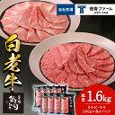 【ふるさと納税】白老牛 焼肉 霜降り カルビ&モモ セット 合計1.6kg(各800g)特製焼肉のたれ付き 和牛 牛肉 北海道 ギフト <徳寿> BJ066北海...