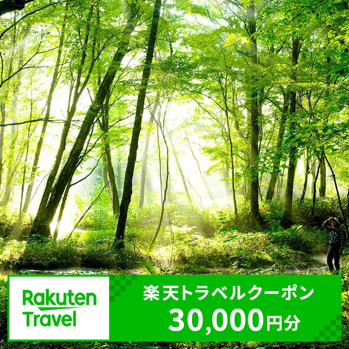 楽天北海道白老町【ふるさと納税】北海道白老町の対象施設で使える楽天トラベルクーポン 寄付額100,000円