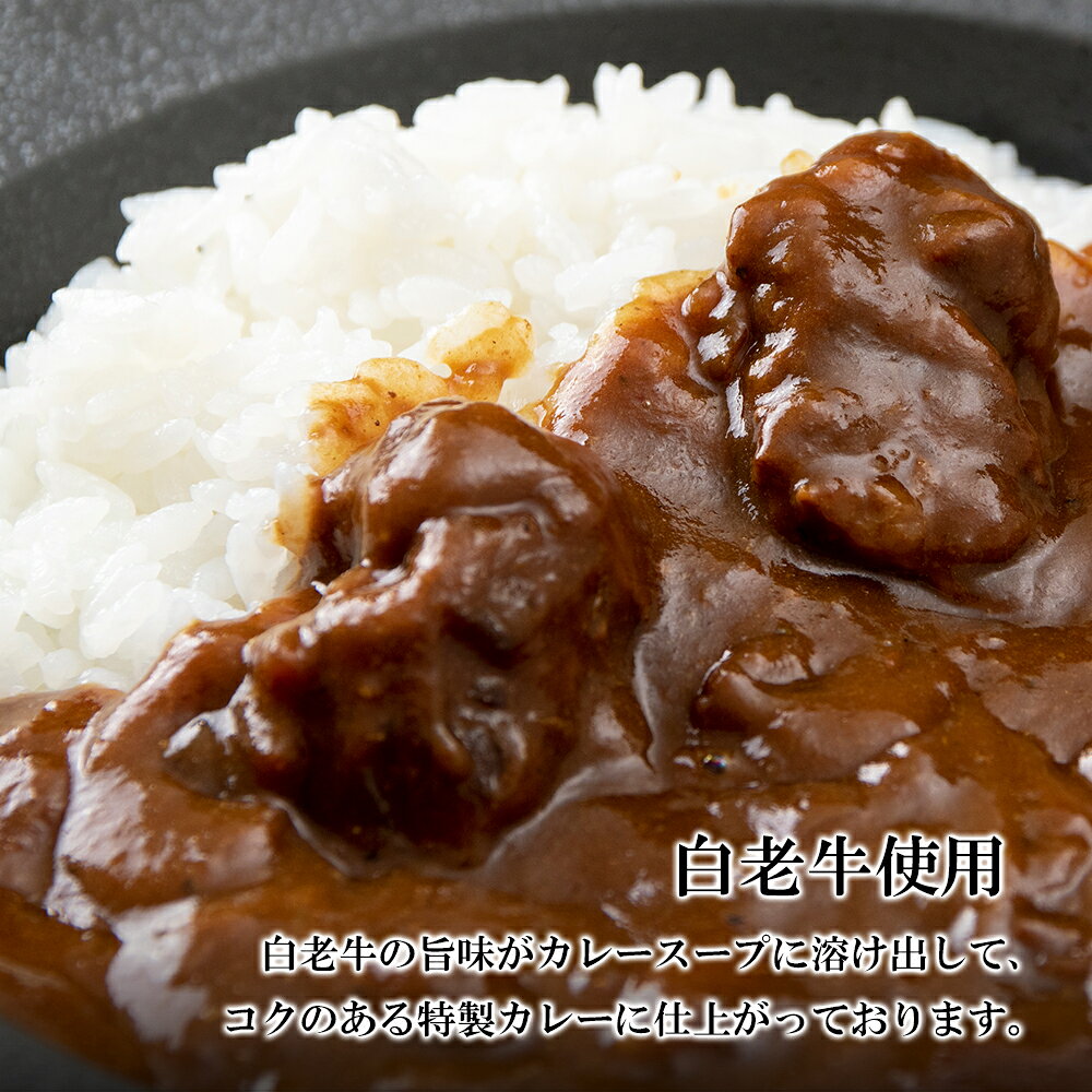 【ふるさと納税】定期便 6カ月 和牛 ビーフカレー 6個セット＜徳寿＞ 200g×6袋白老牛 牛肉 黒毛和牛 ビーフカレー カレー 北海道 惣菜 北海道ふるさと納税 白老 ふるさと納税 北海道 f015784-shiraoi-10001533 北海道白老町 サンプル画像2