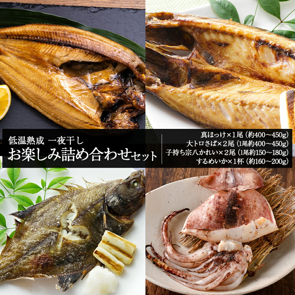 【ふるさと納税】低温熟成 一夜干し お楽しみ 詰め合わせ熟成 干物 一夜干し さば 鯖 ほっけ ホッケ 法華 かれい カレイ 鰈 いか イカ 烏賊 加工品 魚介類 北海道 北海道ふるさと納税 白老 ふるさと納税 北海道のサムネイル