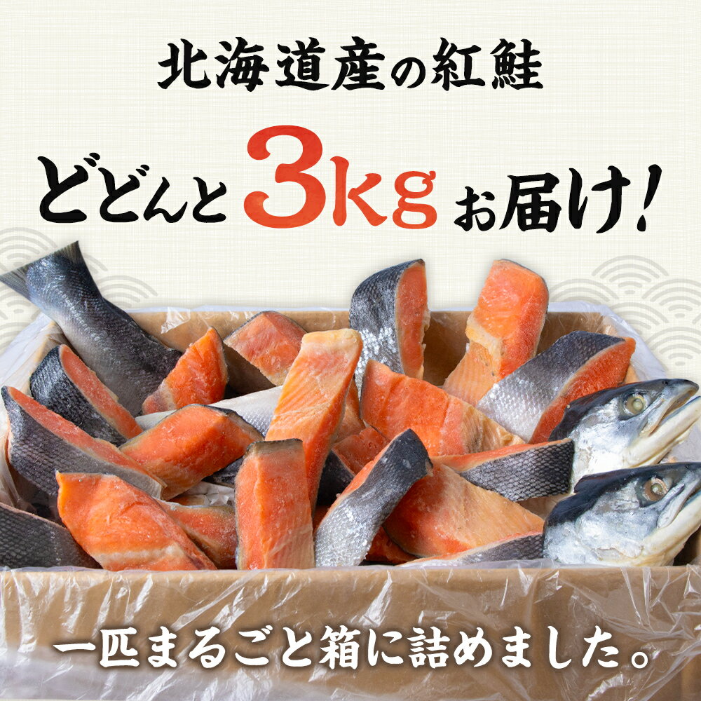 【ふるさと納税】北海道産 汐紅鮭 切り身 3kg 塩鮭 紅鮭 サケ 冷凍 鮭 しゃけ おかず お弁当 魚 海鮮 〈斉藤水産〉 AM089北海道ふるさと納税 白老 ふるさと納税 北海道