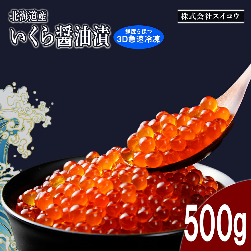 【ふるさと納税】北海道産 いくら 醤油漬 500g（鮭卵）い