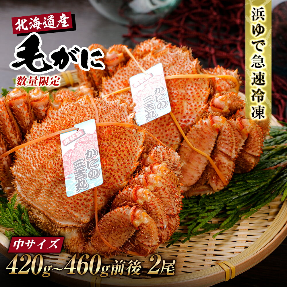 【ふるさと納税】【中サイズ】北海道産 冷凍ボイル毛ガニ (420g-460g前後)2尾毛がに 毛ガニ 毛蟹 蟹 カニ 北海道ふるさと納税 白老 ふるさと納税 北海道 おせち(4)