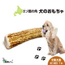 【ふるさと納税】鹿の角 エゾシカ 犬のおもちゃ 『鹿角さん』 中型犬用 四つ割り 1本犬 ペット おもちゃ 鹿角 エゾシカ ドッグガム 北海道 北海道ふるさと納...