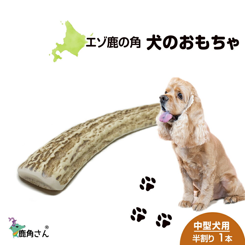 12位! 口コミ数「0件」評価「0」鹿の角 エゾシカ 犬のおもちゃ 『鹿角さん』 中型犬用　半割り　1本犬 ペット おもちゃ 鹿角 エゾシカ ドッグガム 北海道 北海道ふるさと･･･ 