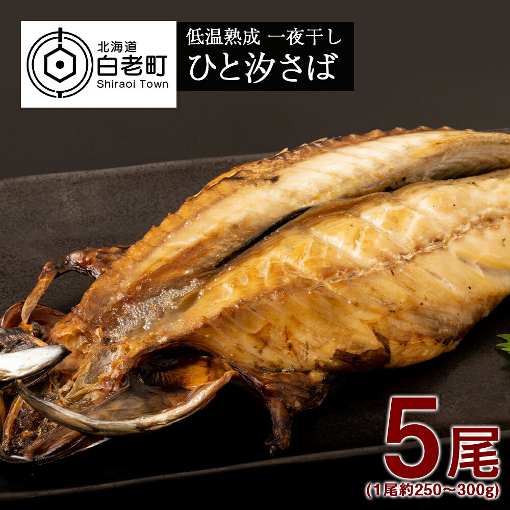 低温熟成 一夜干し ひと汐さば 5尾 [虎杖浜加工] AA025さば サバ 鯖 汐さば 魚 一夜干し 北海道ふるさと納税 白老 ふるさと納税 北海道