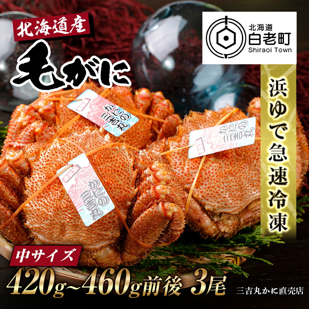 【ふるさと納税】【中サイズ】北海道産 冷凍ボイル毛ガニ (420g-460g前後)3尾毛がに 毛ガニ 毛蟹 蟹 カニ 北海道ふるさと納税 白老 ふるさと納税 北海道 おせち