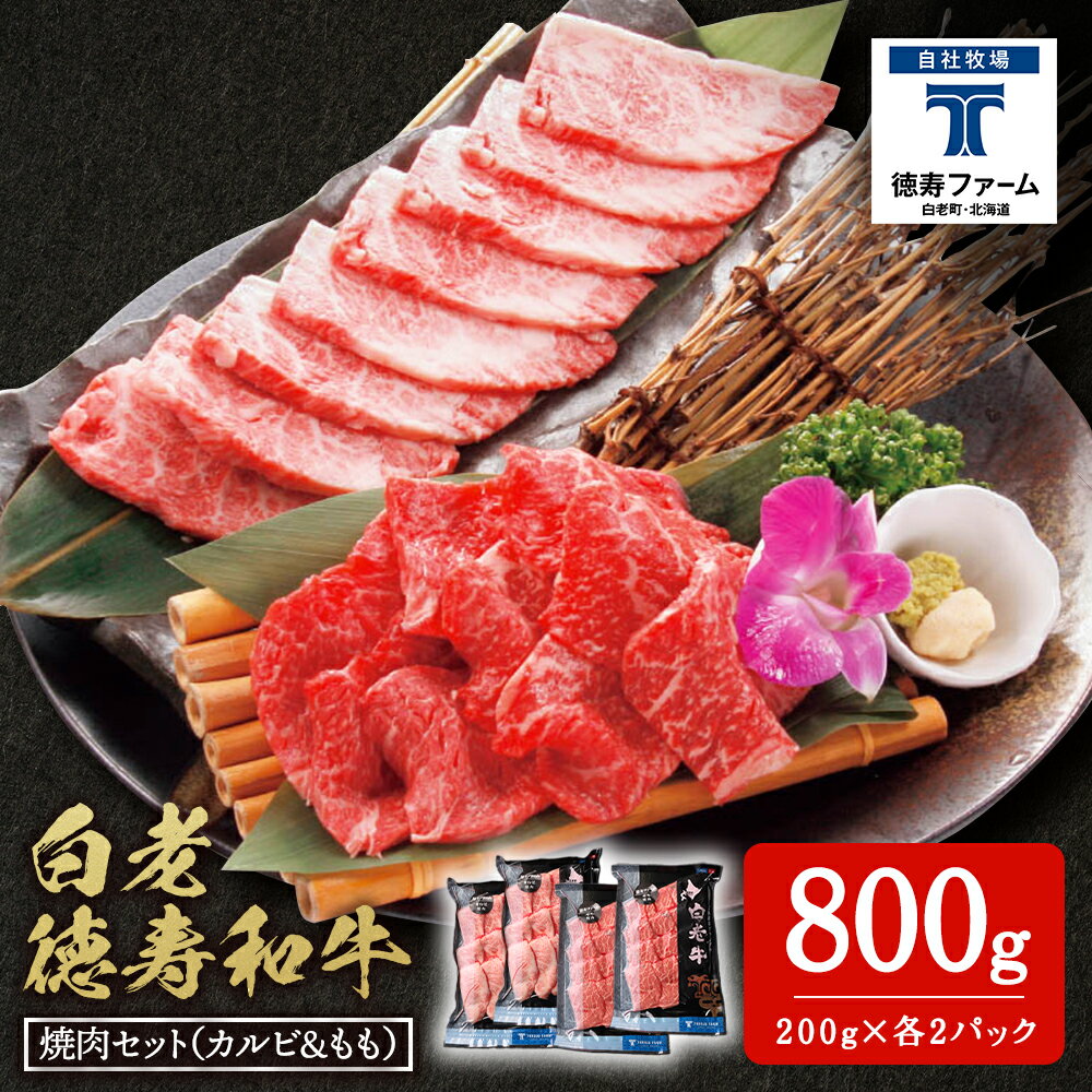 白老牛 焼肉 霜降り カルビ&モモ セット 合計800g(各400g)特製焼肉のたれ付き 和牛 牛肉 北海道 ギフト [徳寿] BJ064北海道ふるさと納税 白老 ふるさと納税 北海道