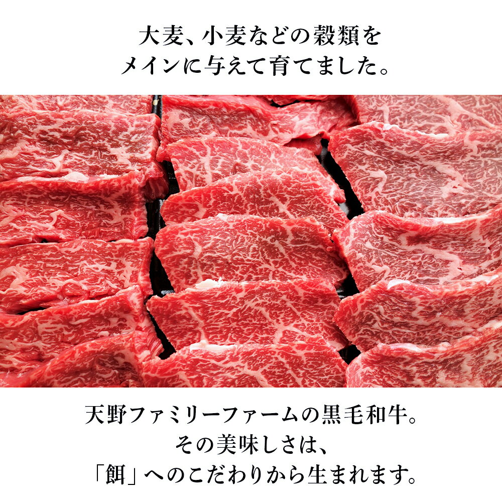 【ふるさと納税】鳥取和牛モモステーキ 約150g×2 もも モモ肉 和牛 牛肉 牛 肉 精肉 とりちく 鳥取県畜産農業協同組合