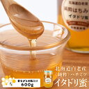 【ふるさと納税】北海道白老産 純粋 ハチミツ イタドリ蜜 600g BZ011