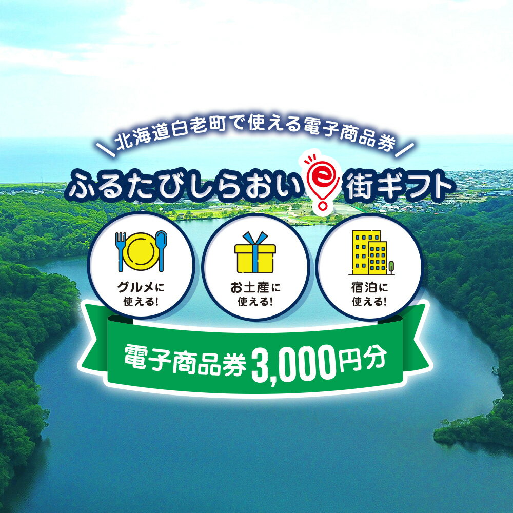 10位! 口コミ数「0件」評価「0」ふるたびしらおいe街ギフト　3,000円分白老町 旅行 北海道旅行 チケット 電子商品券 ふるさと納税 旅行