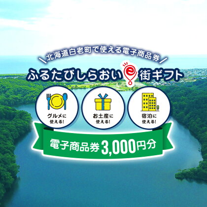 ふるたびしらおいe街ギフト　3,000円分白老町 旅行 北海道旅行 チケット 電子商品券 ふるさと納税 旅行