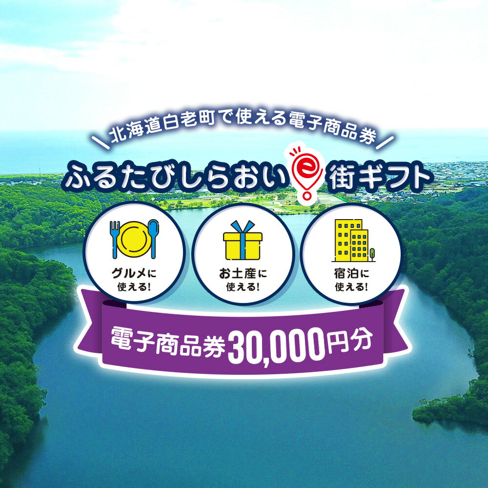 28位! 口コミ数「0件」評価「0」ふるたびしらおいe街ギフト　30,000円分白老町 旅行 北海道旅行 チケット 電子商品券 ふるさと納税 旅行