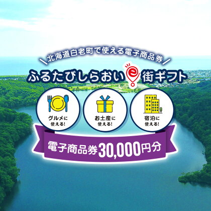 ふるたびしらおいe街ギフト　30,000円分白老町 旅行 北海道旅行 チケット 電子商品券 ふるさと納税 旅行