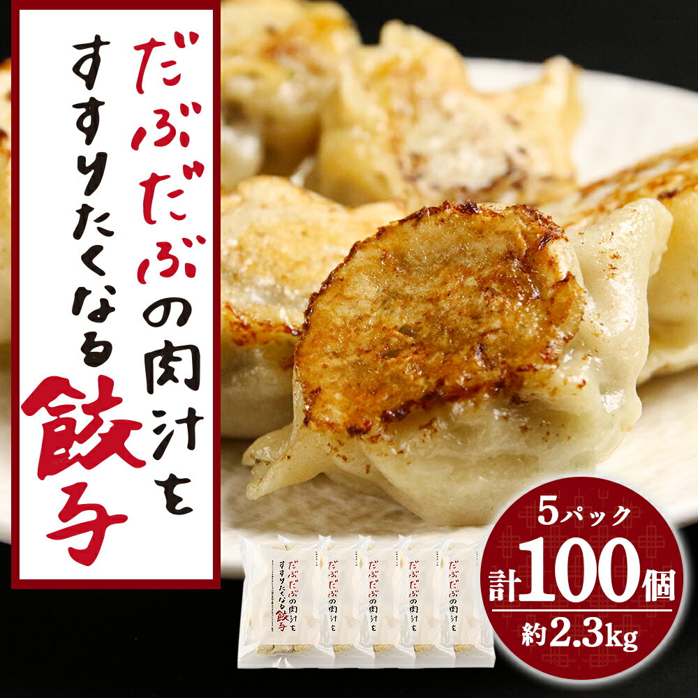 20位! 口コミ数「0件」評価「0」 だぶだぶの肉汁をすすりたくなる餃子 100個（20個入×5パック）餃子 肉料理 ぎょうざ ギョウザ 惣菜 北海道ふるさと納税 白老 ふるさ･･･ 