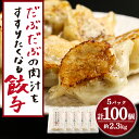 【ふるさと納税】 だぶだぶの肉汁をすすりたくなる餃子 100個(20個入×5パック)餃子 肉料理 ぎょうざ ギョウザ 惣菜 北海道ふるさと納税 白老 ふるさと納...