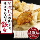  だぶだぶの肉汁をすすりたくなる餃子 100個（20個入×5パック）餃子 肉料理 ぎょうざ ギョウザ 惣菜 北海道ふるさと納税 白老 ふるさと納税 北海道