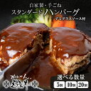 【ふるさと納税】白老牛 スタンダード ハンバーグ セット 5個 (網脂なし) 特製ソース 冷凍 牛肉 肉 白老 BY121ビーフハンバーグ 牛肉 加工肉 ハンバ...
