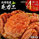 【ふるさと納税】 冷凍毛がに 選べる650g～4kg 大サイ