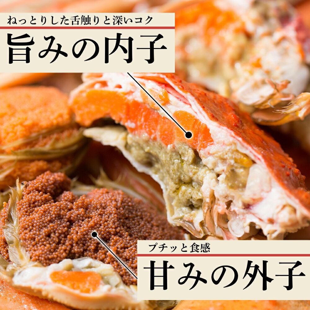 【ふるさと納税】北海道産 生大ズワイガニ メス 選べる1kg～2kg （加熱用） ずわいがに 蟹 〈斉藤水産〉 AM091 AM092冷凍 訳あり ズワイガニ ずわい蟹 ずわいガニ ズワイかに ずわいカニ 蟹 姿 カニ 生ずわい ズワイ姿 北海道ふるさと納税 白老 ふるさと納税 北海道